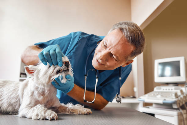 Best Emergency Gum Treatment in Hope Valley, RI